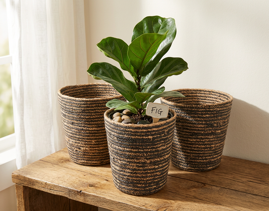 Planter Basket Set