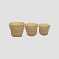 Planter Basket  Set