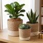 Planter Basket  Set