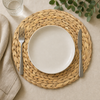 Dining Table Place Mat