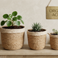 Planter Basket  Set
