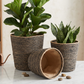 Planter Basket  Set