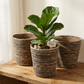 Planter Basket  Set