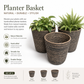 Planter Basket  Set