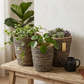 Planter Basket  Set