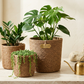 Planter Basket  Set