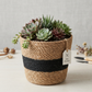 Planter Basket  Set
