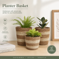 Planter Basket  Set