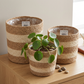 Planter Basket  Set