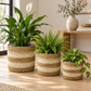 Striped Seagrass Planters, Set of 3