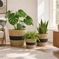 Planter Basket  Set